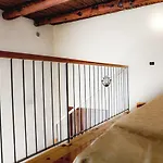 Spicchi Di Sole